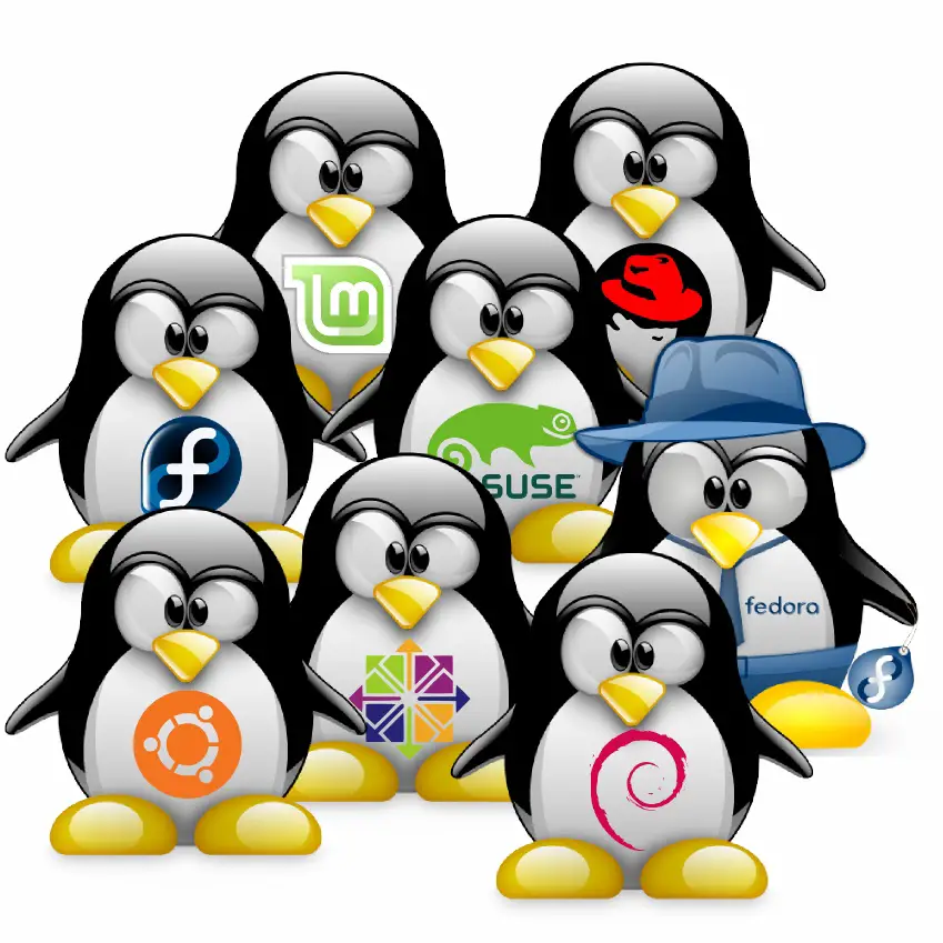 With so many Linux distributions, it can be hard to choose