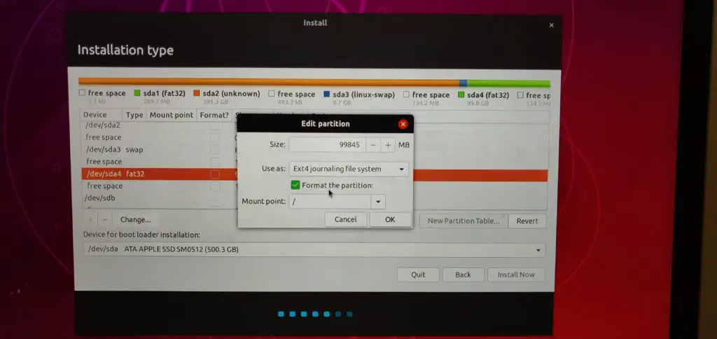 installing Ubuntu 18.10 formatting / partition
